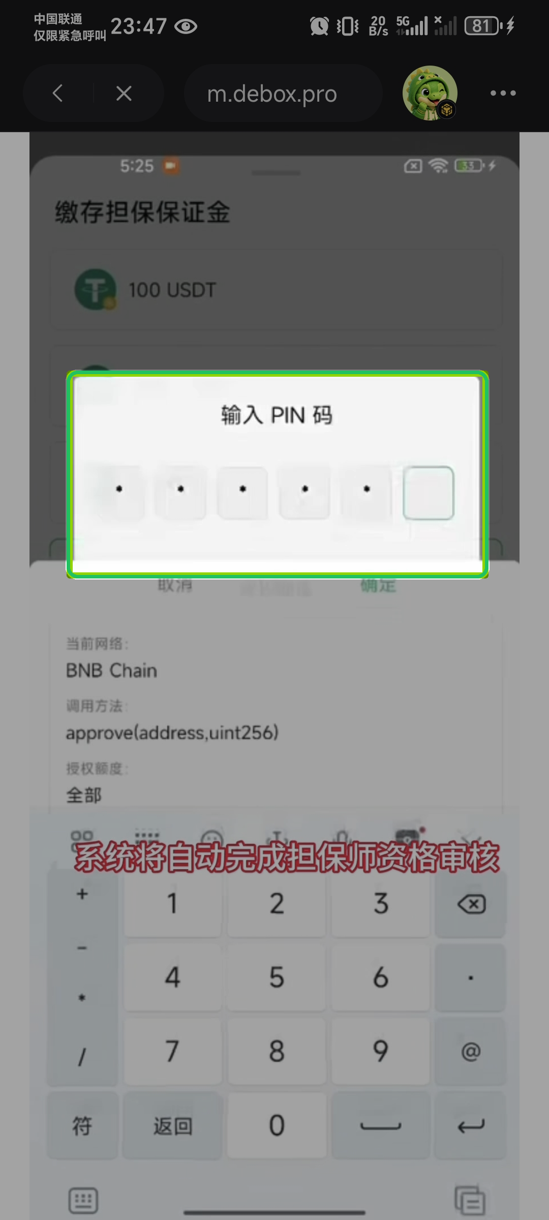 输入 PIN 码完成验证